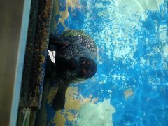 -太平洋海底世界