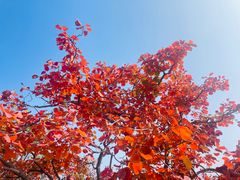 -周口店坡峰岭风景区
