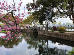 -无锡蠡湖国家湿地公园-蠡园
