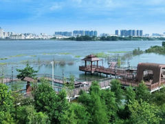 -立新湖公园