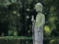 -鹿野苑石刻艺术博物馆