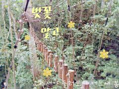 -西双版纳原始森林公园