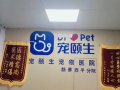 -宠颐生猫科·内科皮肤科(西平世纪城店)