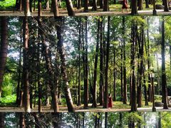 -华南国家植物园-售票处