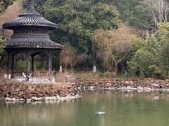 -天目湖山水园