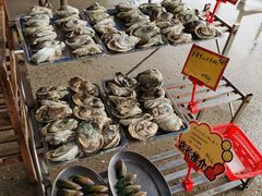 -蚝专家(北滘店)