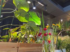 -懒人盐府人家(航天桥店)