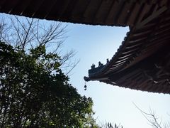 -杭州半山国家森林公园