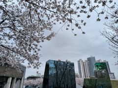 -龙美术馆(西岸馆)