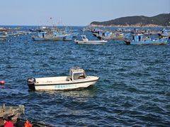 -海源公园