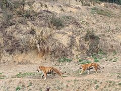 -杭州野生动物世界