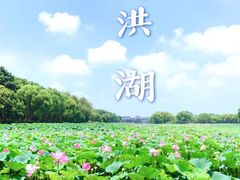 -洪湖生态旅游区