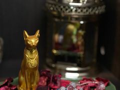 -雪灵魔法世界SHELLY’S TAROT(大良桂畔里店)