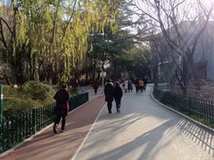 -西安市长乐公园