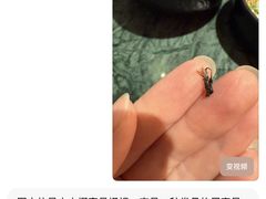 -牛New寿喜烧(曹路花园城店)