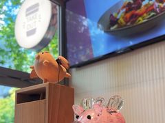 -WHEN PIGS FLY当猪飞
