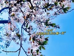 -海棠花溪(元大都城垣遗址公园)