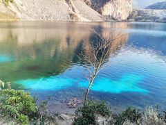 -树山生态村