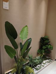 -丽都整形美容医院·全国连锁旗舰店