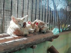 景点-昆明动物园