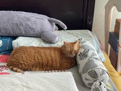 -新荟城(望京店)