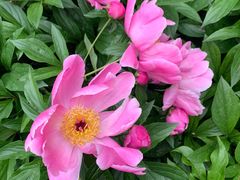 -木塔寺遗址生态公园