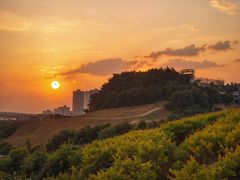 -西南政法大学(渝北校区)