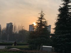 -雪枫公园