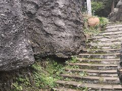 -寻龙山风景旅游区