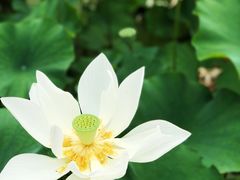 -南戴河国际娱乐中心