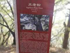 -终南山南五台景区