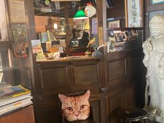 -古董花园(思南路42弄小区店)