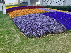 -南京国际青年文化中心