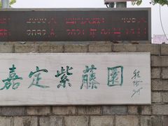 -嘉定紫藤园