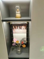 -德加芭蕾·舞蹈培训