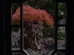 -秋霞圃