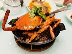 膏蟹-新吉士·上海菜(浦东LCM置汇旭辉店)