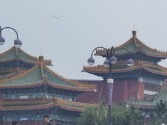 -蓬莱阁景区