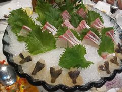 -渔意如意·首创金鲷顺德鱼生