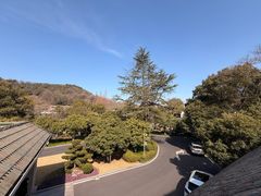 -杭州花家山庄