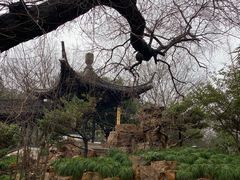 -扬州大运河文化旅游度假区·盆景园