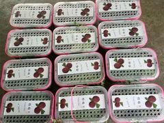 -西山樟坞健康果园枇杷杨梅采摘