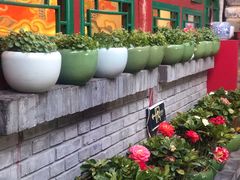 -顺承小院儿