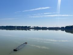 -大湾区中央湿地公园-十九涌