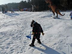-金石滩蓝莓谷庄园