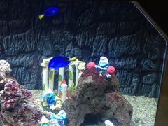 -北戴河圣蓝海洋公园