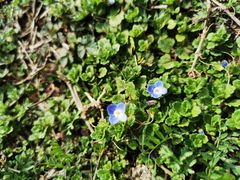 -南京市无想山景区