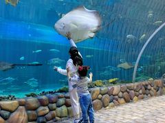 -华夏文旅海洋公园