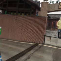 -恐龙探索乐园(磁器口店)