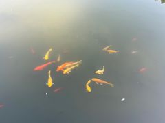-广州神农草堂中医药博物馆